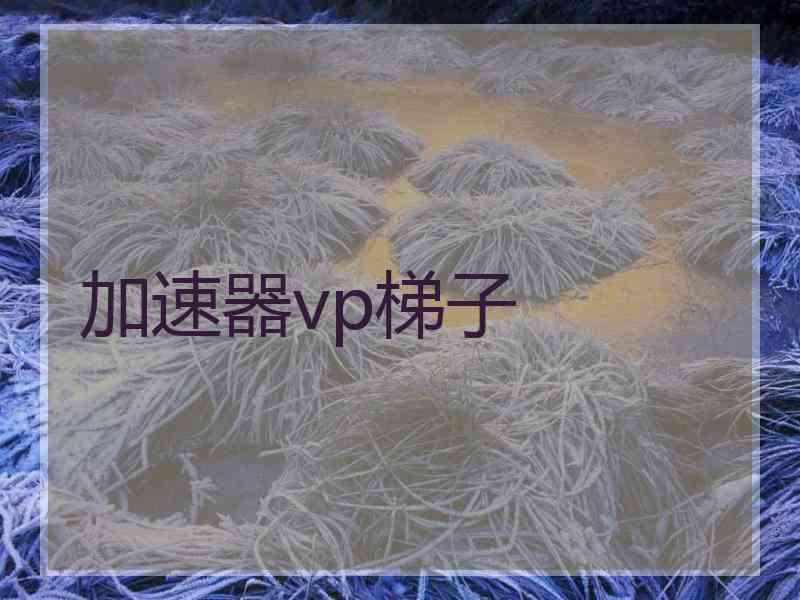 加速器vp梯子