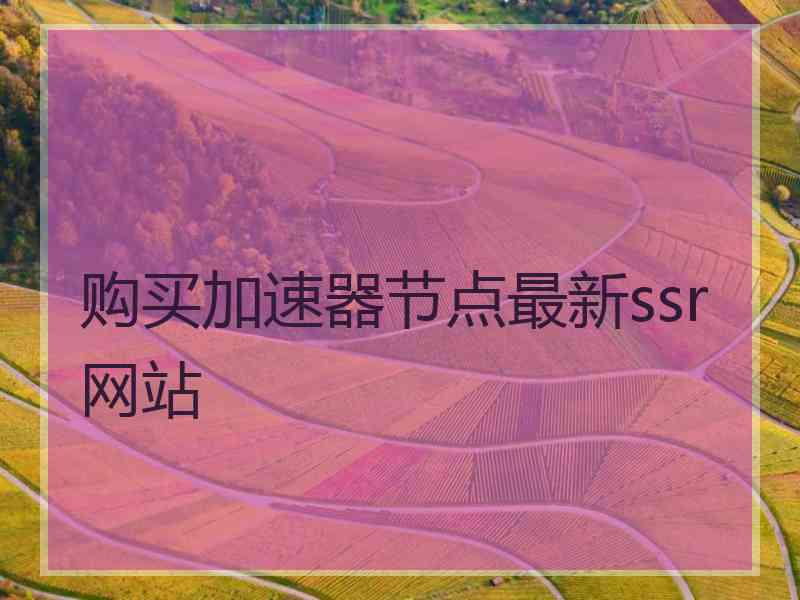 购买加速器节点最新ssr网站