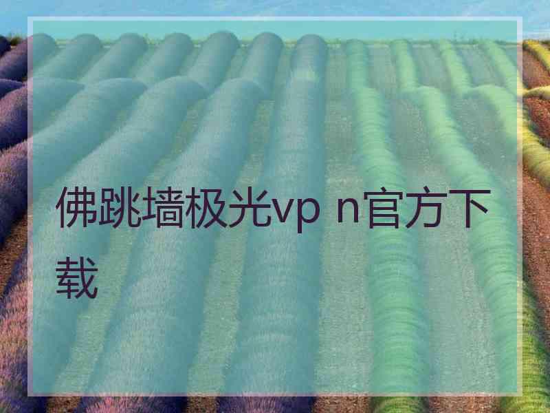 佛跳墙极光vp n官方下载