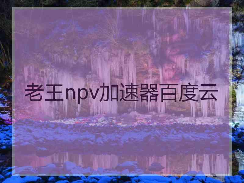 老王npv加速器百度云