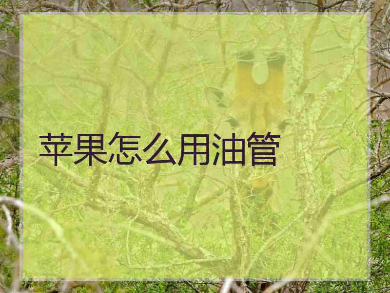 苹果怎么用油管