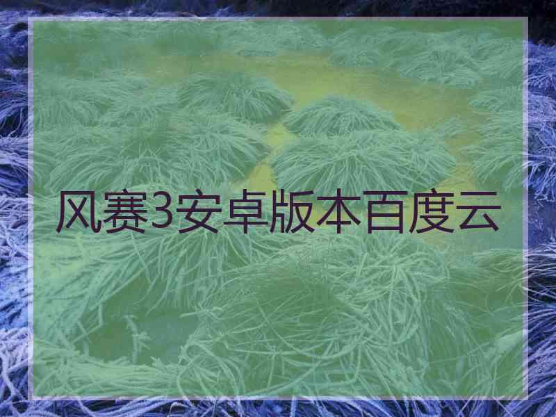 风赛3安卓版本百度云