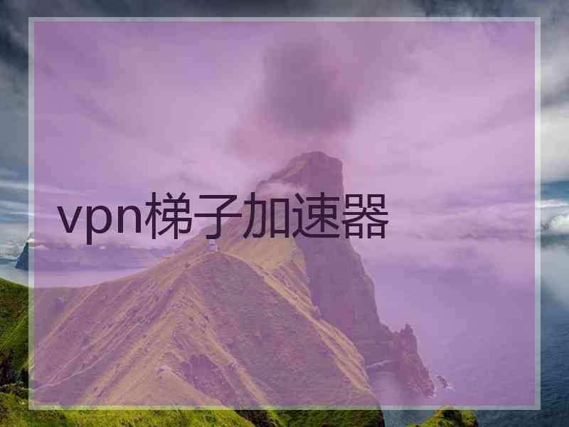 vpn梯子加速器