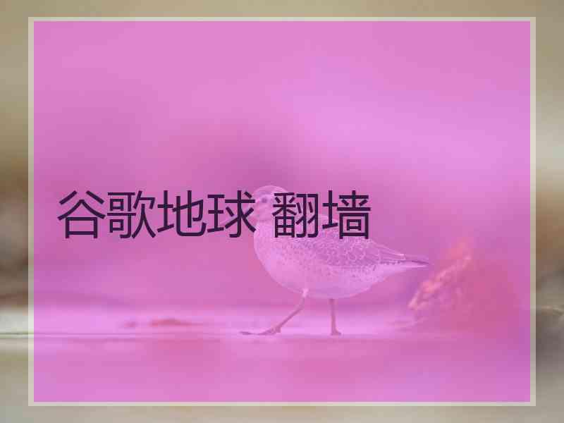 谷歌地球 翻墙