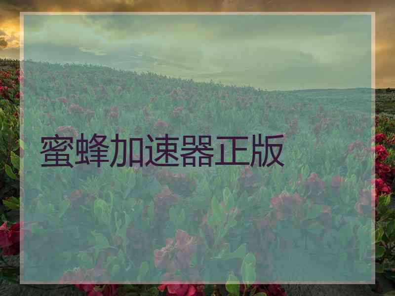 蜜蜂加速器正版
