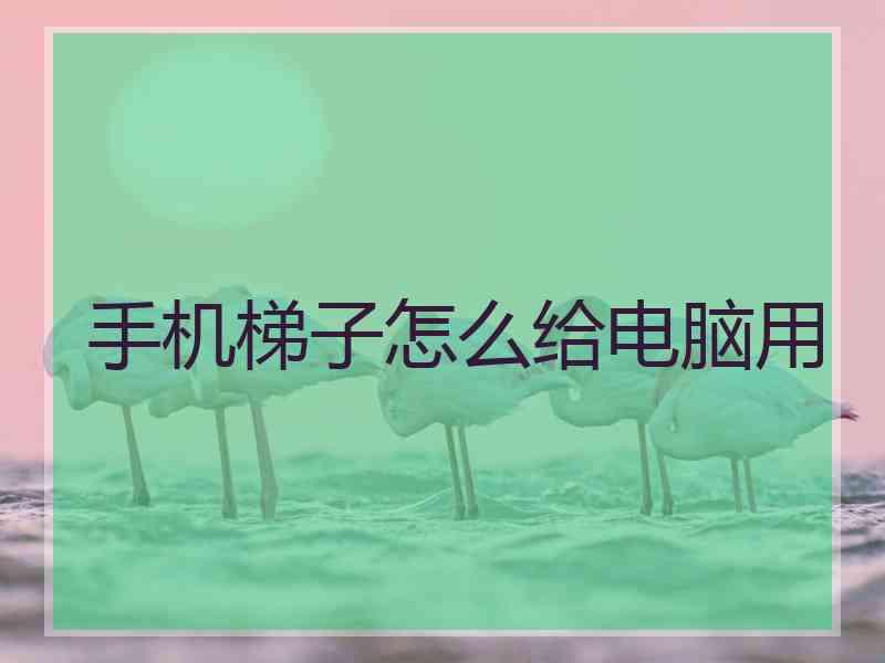 手机梯子怎么给电脑用