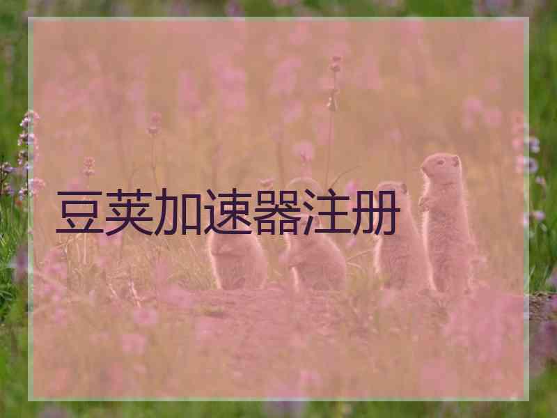 豆荚加速器注册
