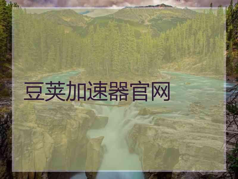 豆荚加速器官网