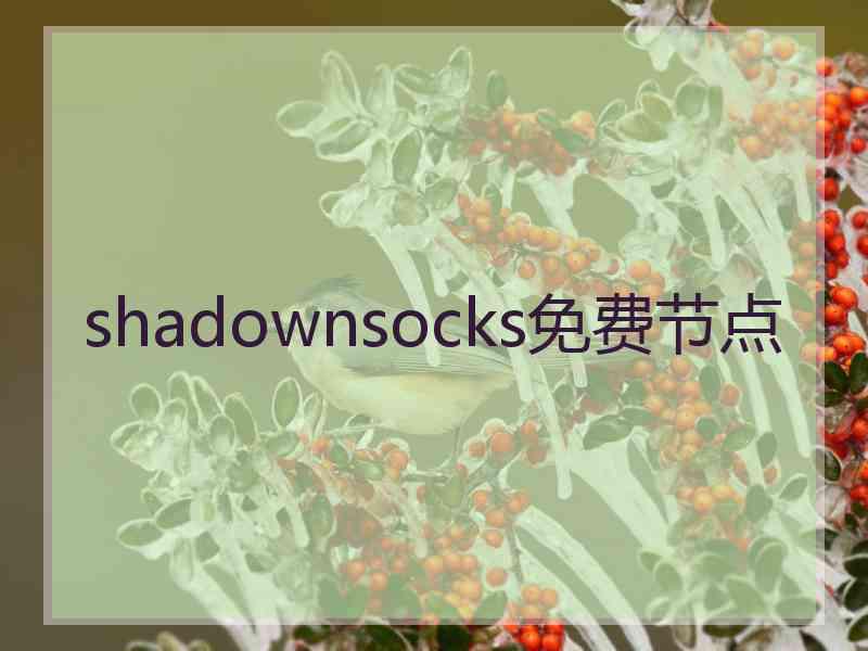 shadownsocks免费节点
