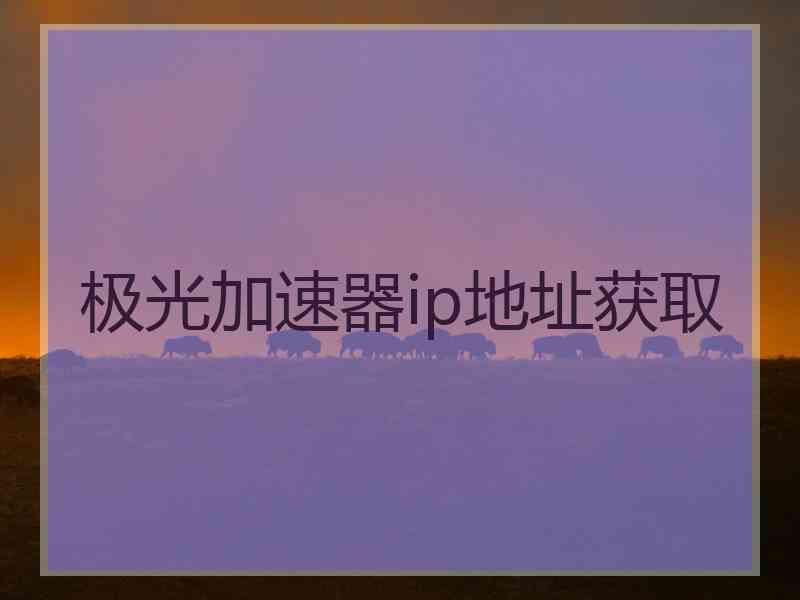 极光加速器ip地址获取