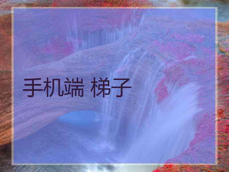 手机端 梯子