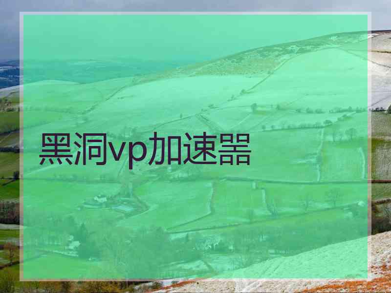 黑洞vp加速噐
