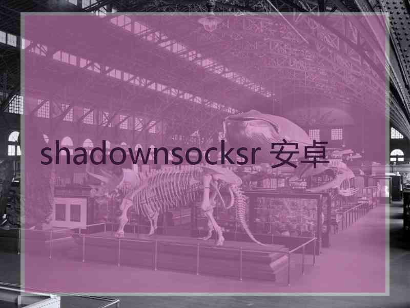 shadownsocksr 安卓