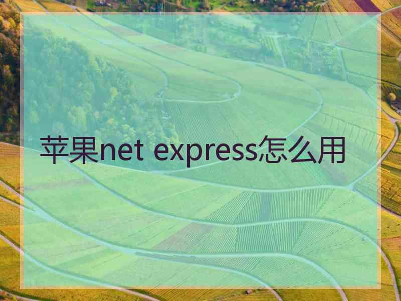 苹果net express怎么用