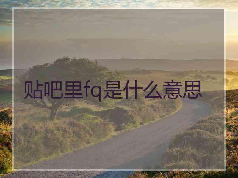 贴吧里fq是什么意思