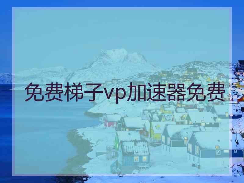 免费梯子vp加速器免费