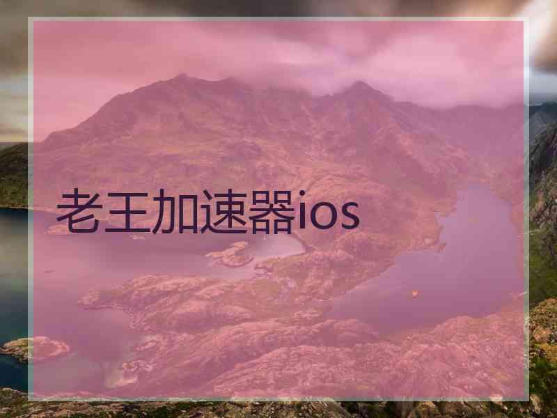 老王加速器ios