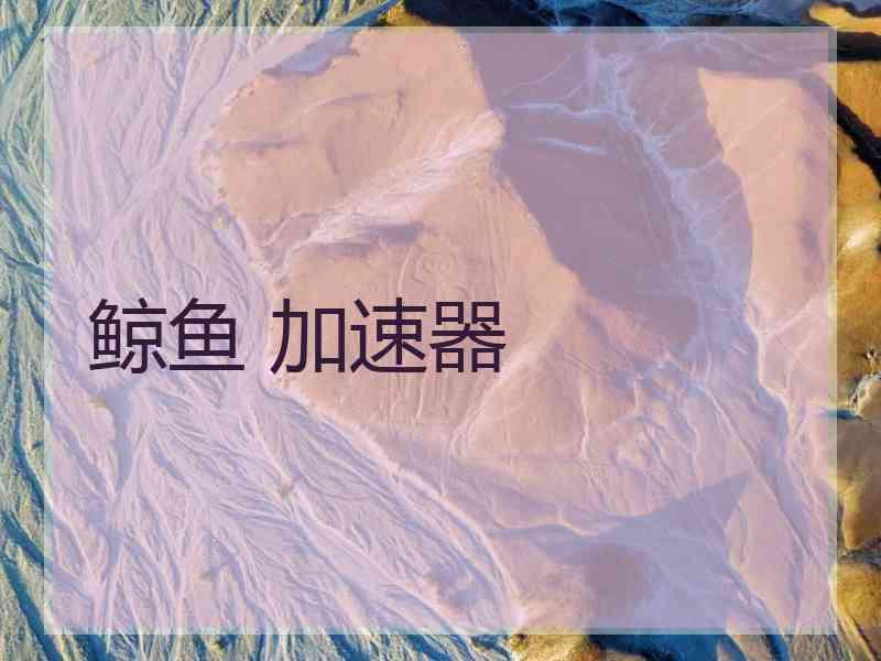 鲸鱼 加速器