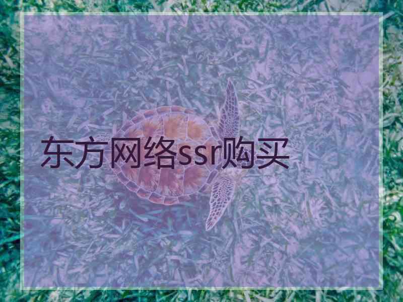 东方网络ssr购买