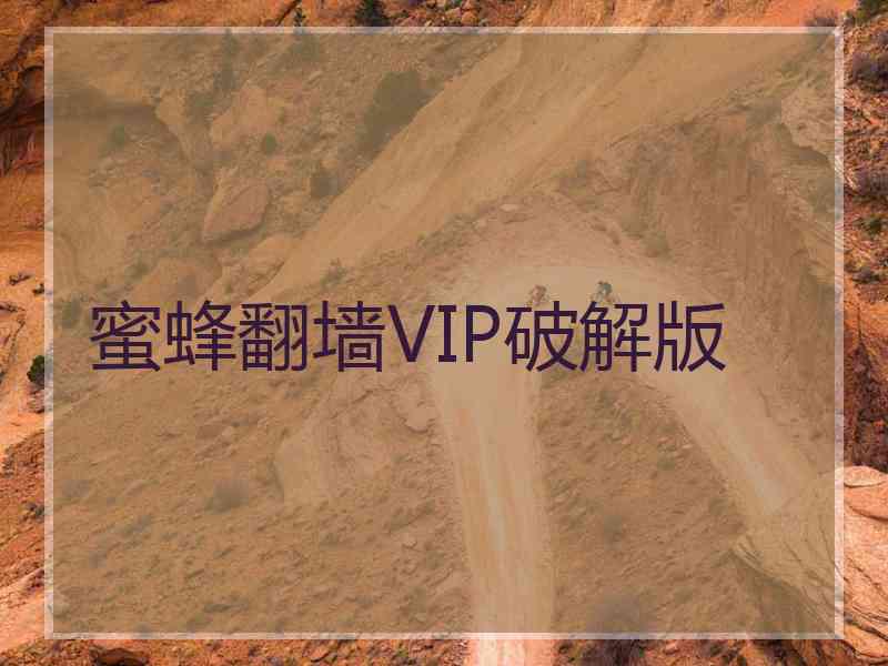 蜜蜂翻墙VIP破解版