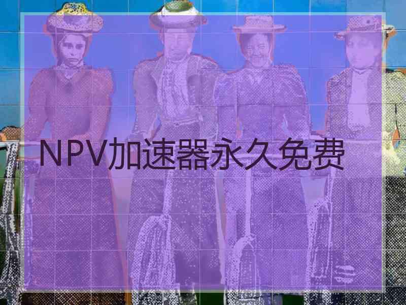 NPV加速器永久免费