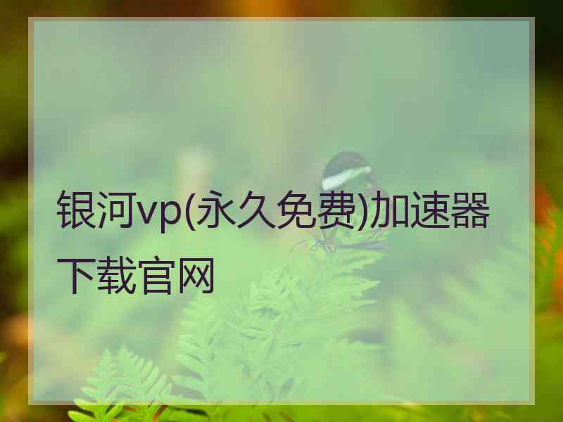 银河vp(永久免费)加速器下载官网