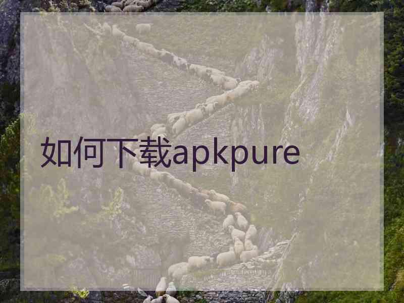 如何下载apkpure