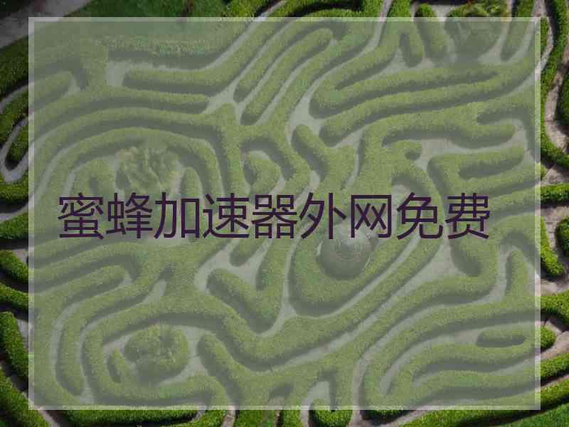 蜜蜂加速器外网免费