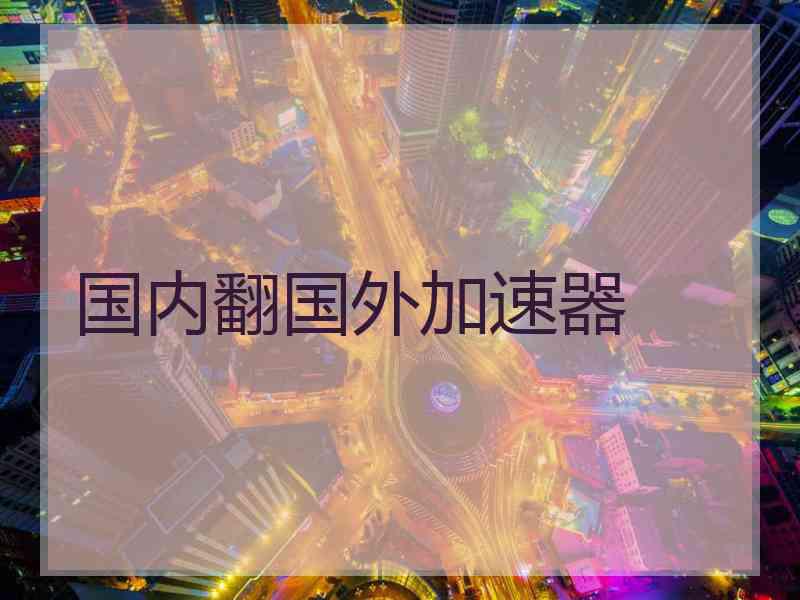 国内翻国外加速器