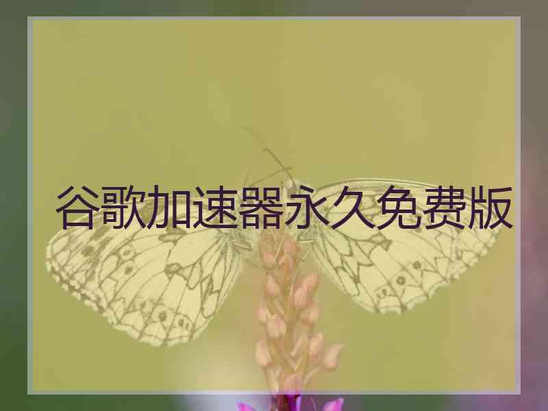 谷歌加速器永久免费版