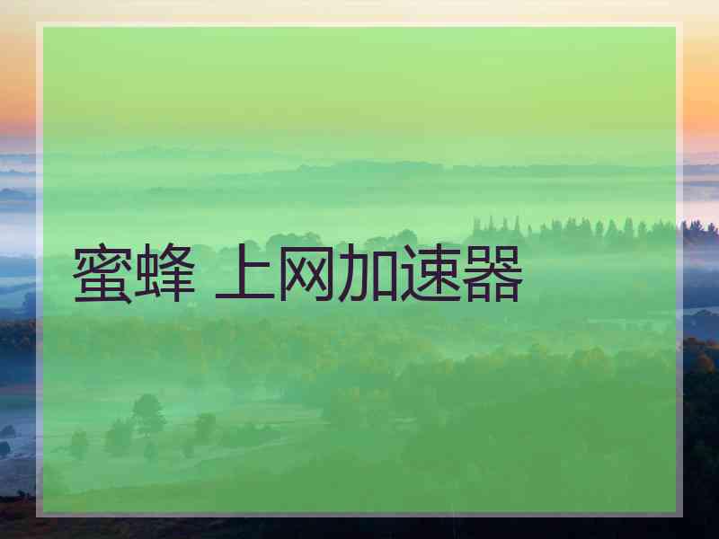 蜜蜂 上网加速器