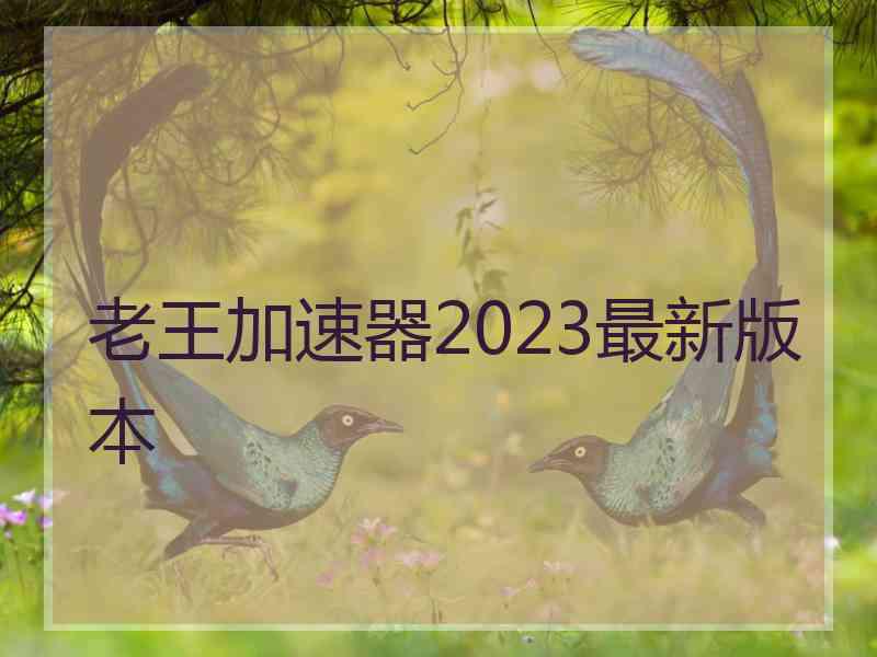 老王加速器2023最新版本