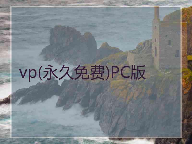vp(永久免费)PC版