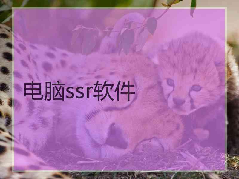 电脑ssr软件