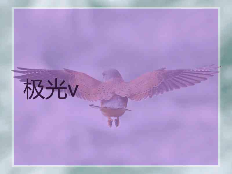 极光v