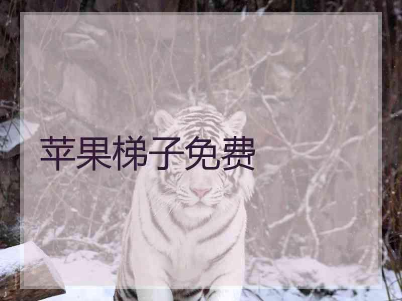 苹果梯子免费