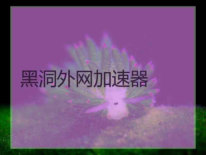 黑洞外网加速器