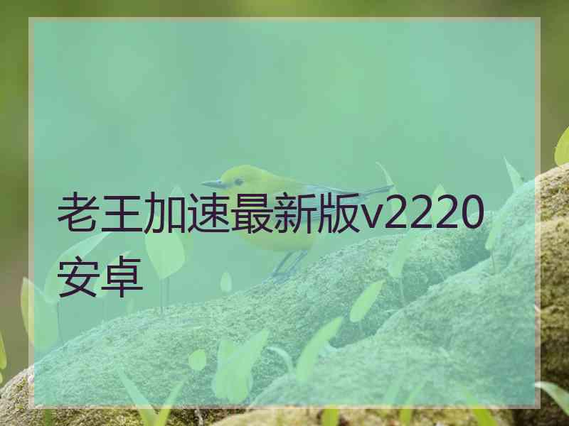 老王加速最新版v2220安卓