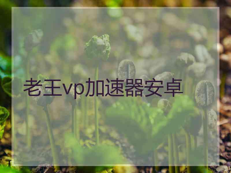 老王vp加速器安卓