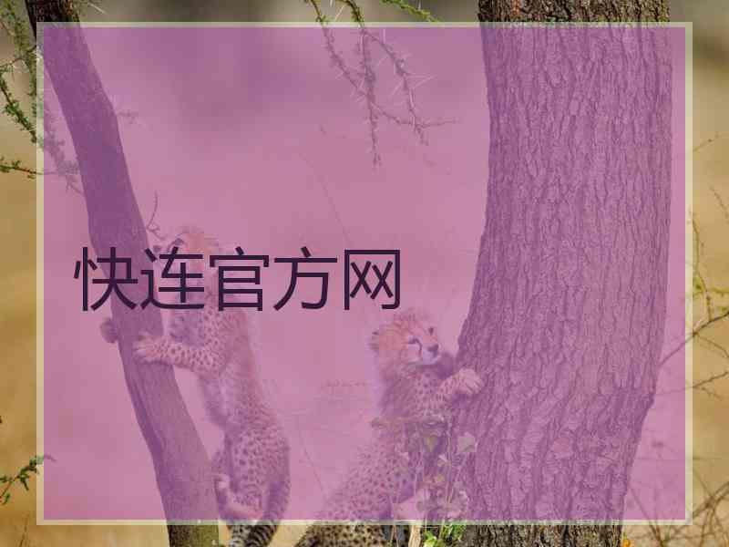 快连官方网