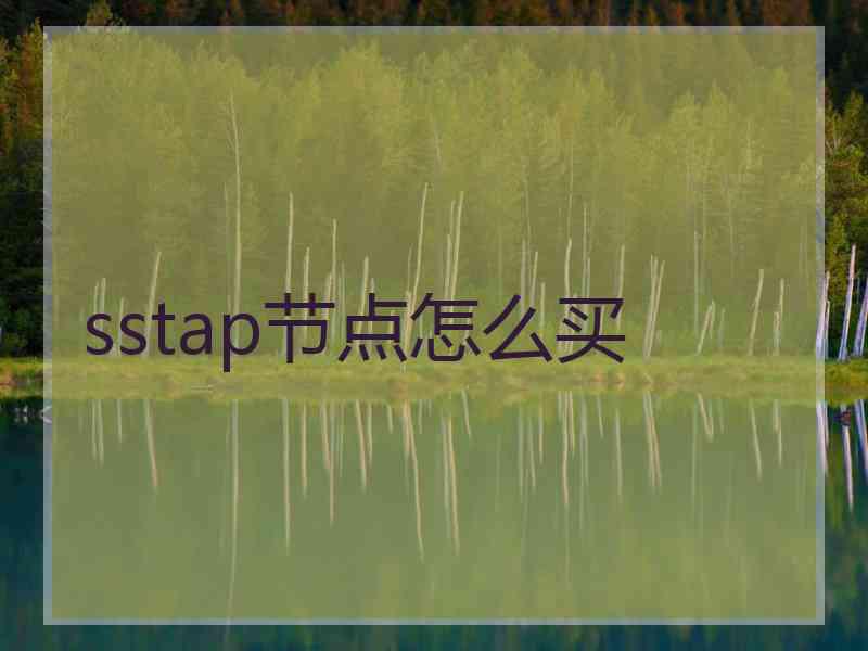 sstap节点怎么买