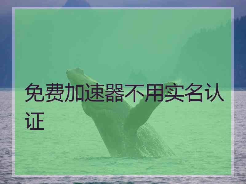 免费加速器不用实名认证