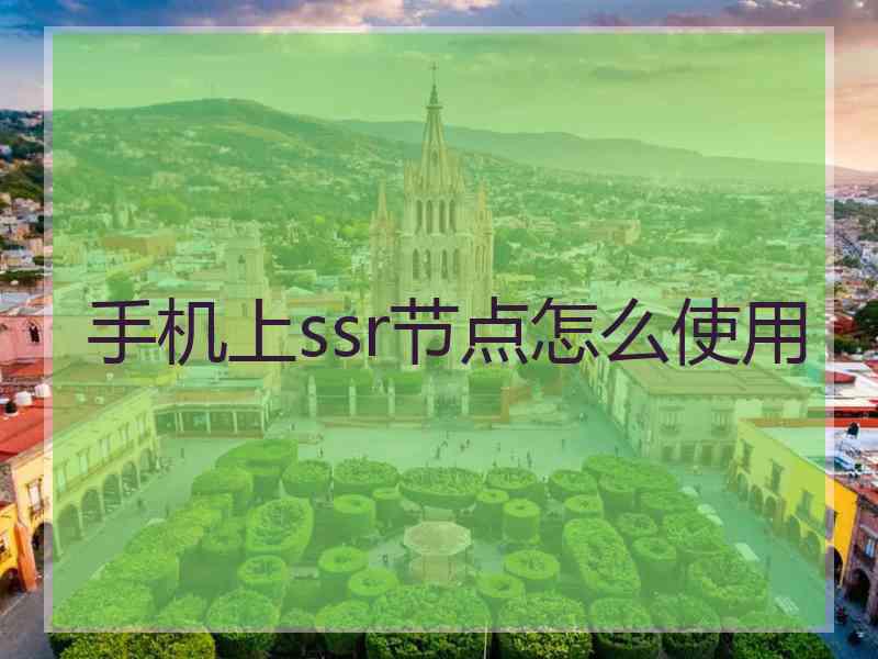 手机上ssr节点怎么使用