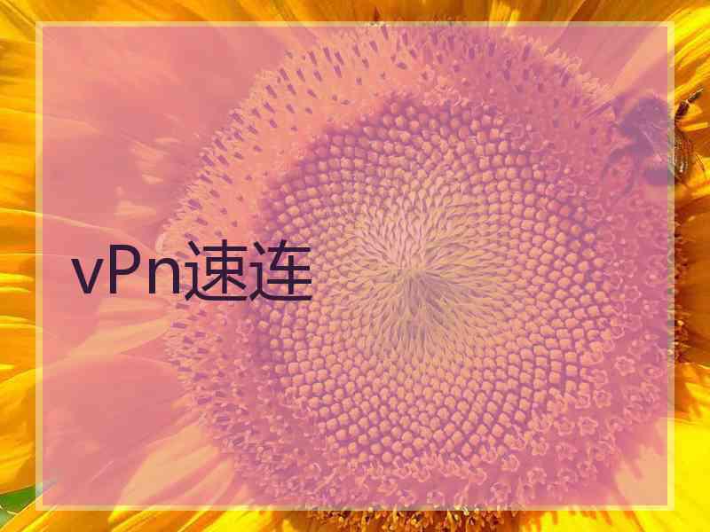 vPn速连