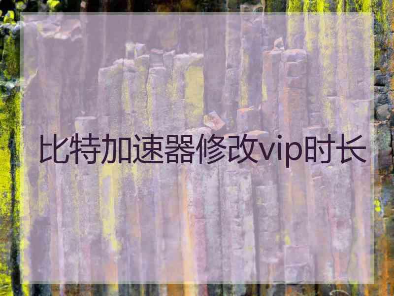 比特加速器修改vip时长