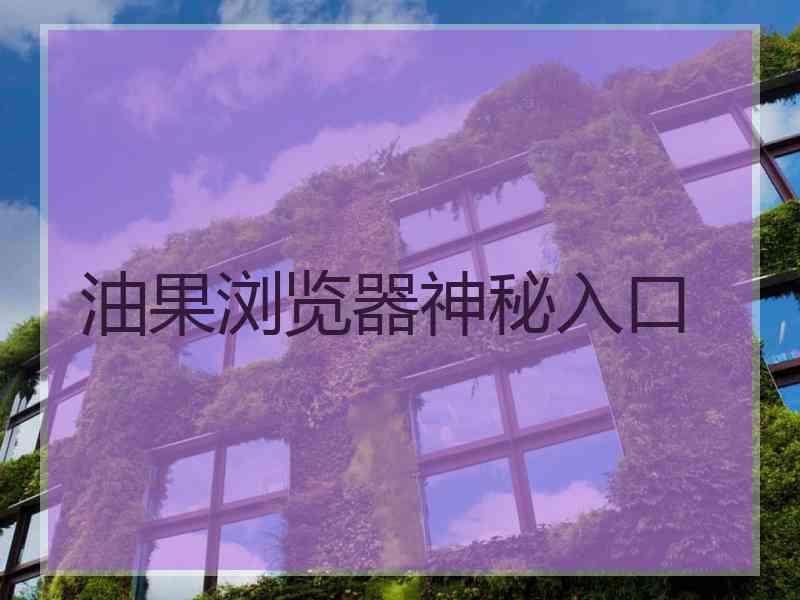油果浏览器神秘入口