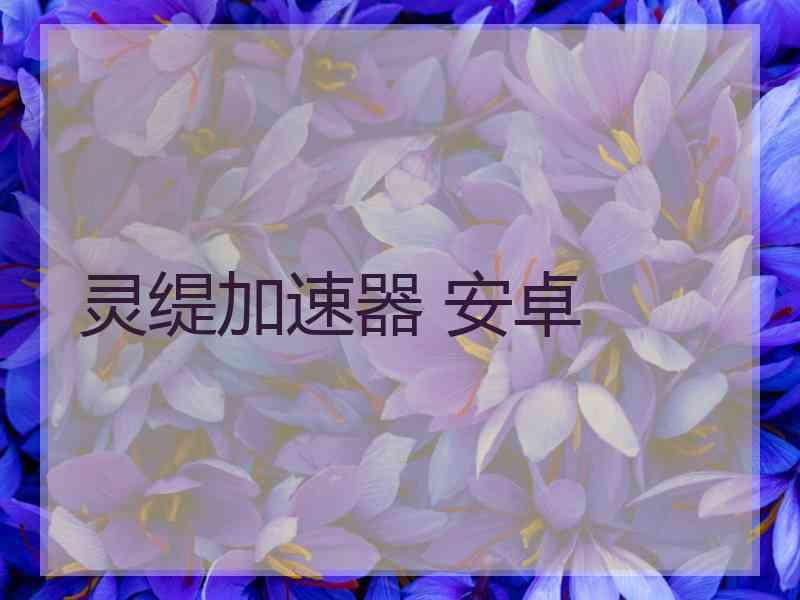 灵缇加速器 安卓