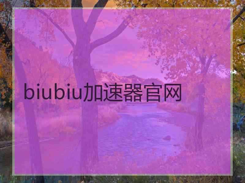 biubiu加速器官网