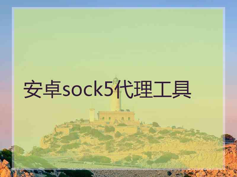 安卓sock5代理工具