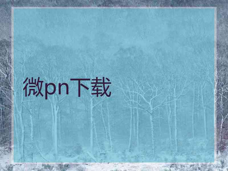 微pn下载